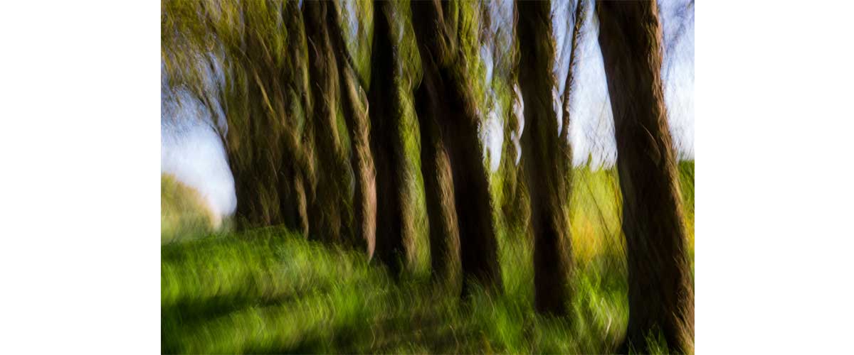 image taken by Keld Kofoed Hansen